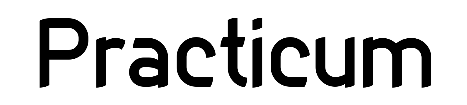 Practicum